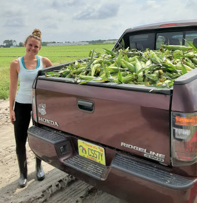 FL - 5 - Corn Gleaning
